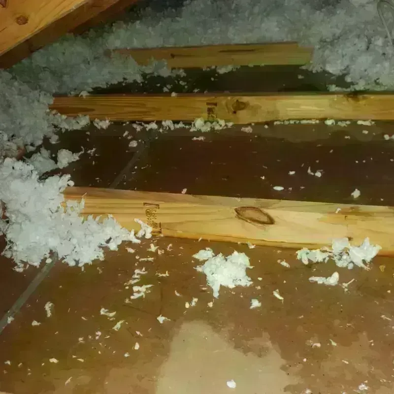 Attic Water Damage in Jackson County, WI