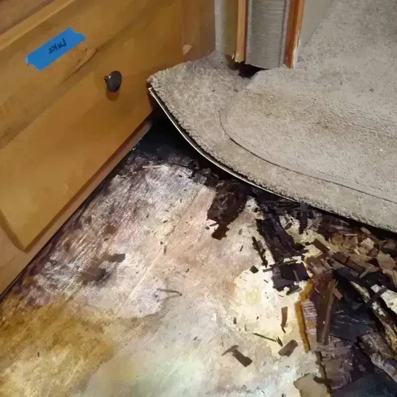 Wood Floor Water Damage in Jackson County, WI